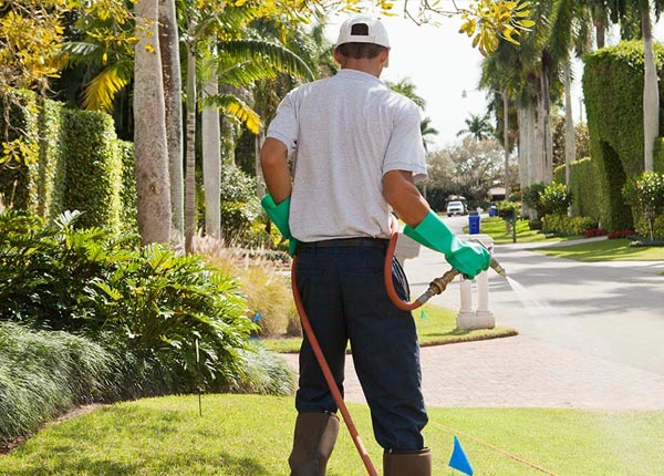 About North Grafton MA Pest Control Pros